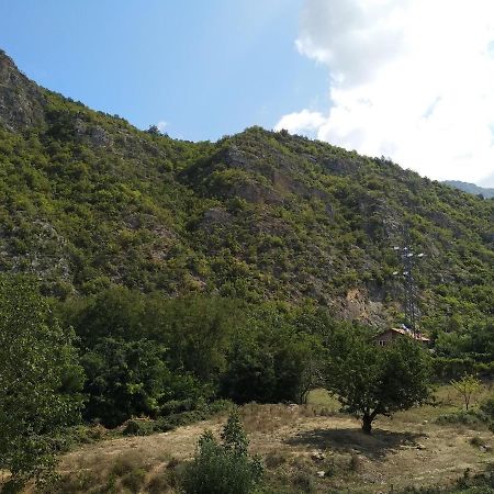אוהריד The Brothers Villa Hotel מראה חיצוני תמונה