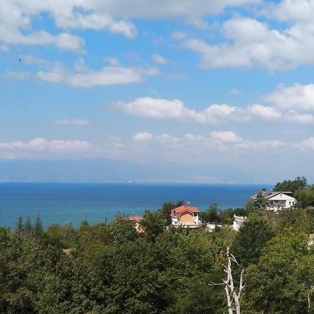 אוהריד The Brothers Villa Hotel מראה חיצוני תמונה