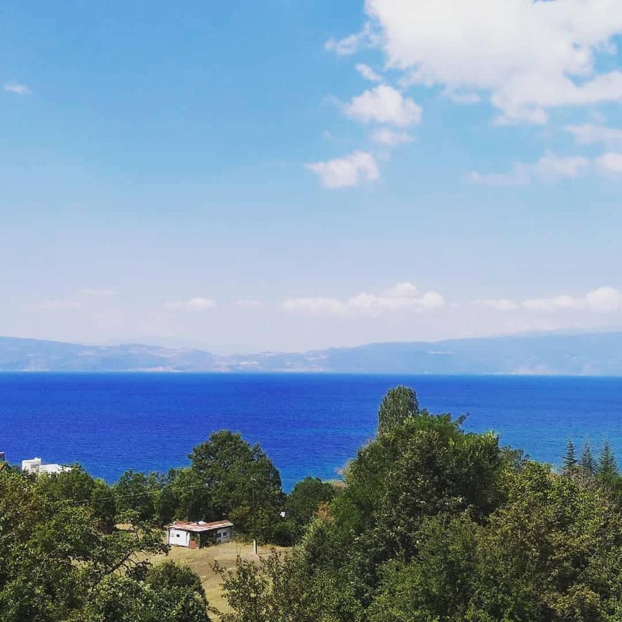 אוהריד The Brothers Villa Hotel מראה חיצוני תמונה