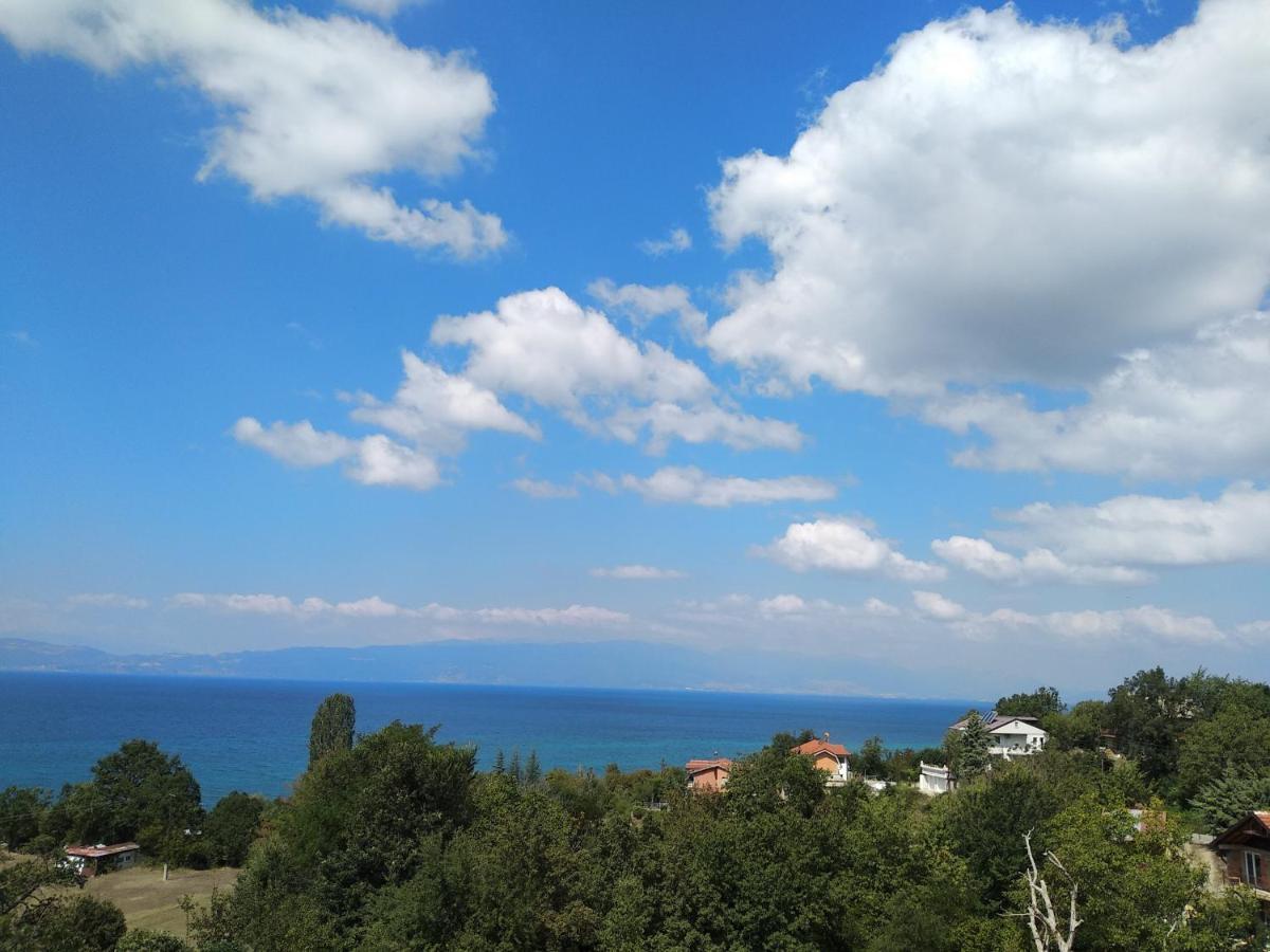 אוהריד The Brothers Villa Hotel מראה חיצוני תמונה