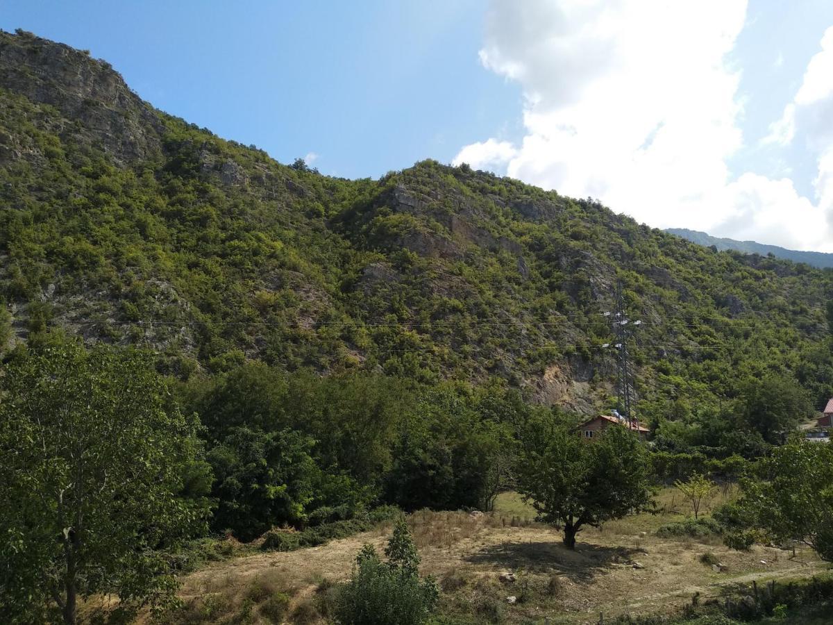 אוהריד The Brothers Villa Hotel מראה חיצוני תמונה