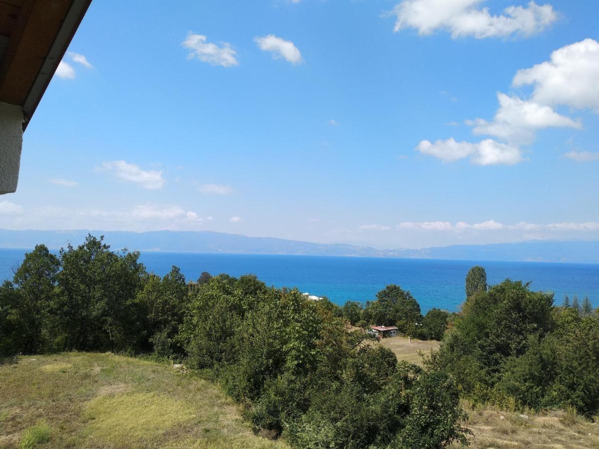 אוהריד The Brothers Villa Hotel מראה חיצוני תמונה